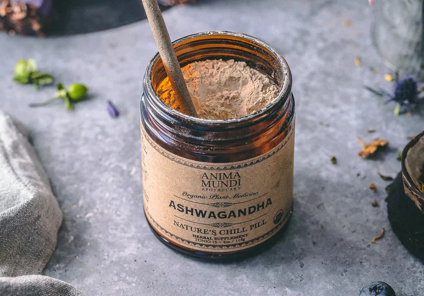 ASHWAGANDHA Polvo | Antiestrés natural
