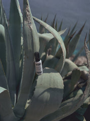 Daily crema facial SPF 50