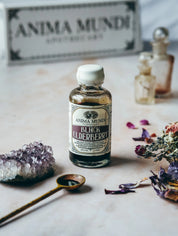 BLACK ELDERBERRY Elixir | Antiviral Orgánico