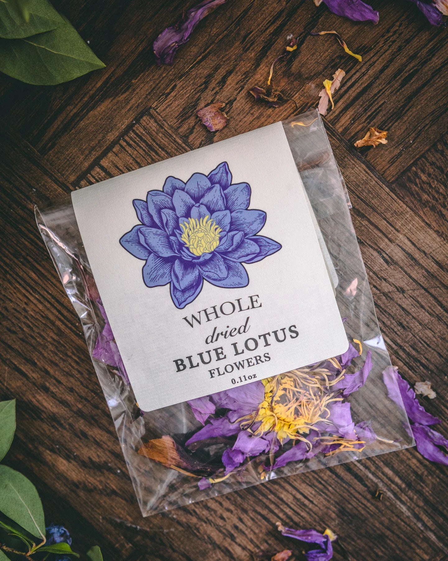 BLUE LOTUS | Flores enteras