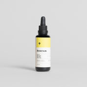 Sinergia plus: extracto Reishi, Shiitake, Maitake y Melena de león