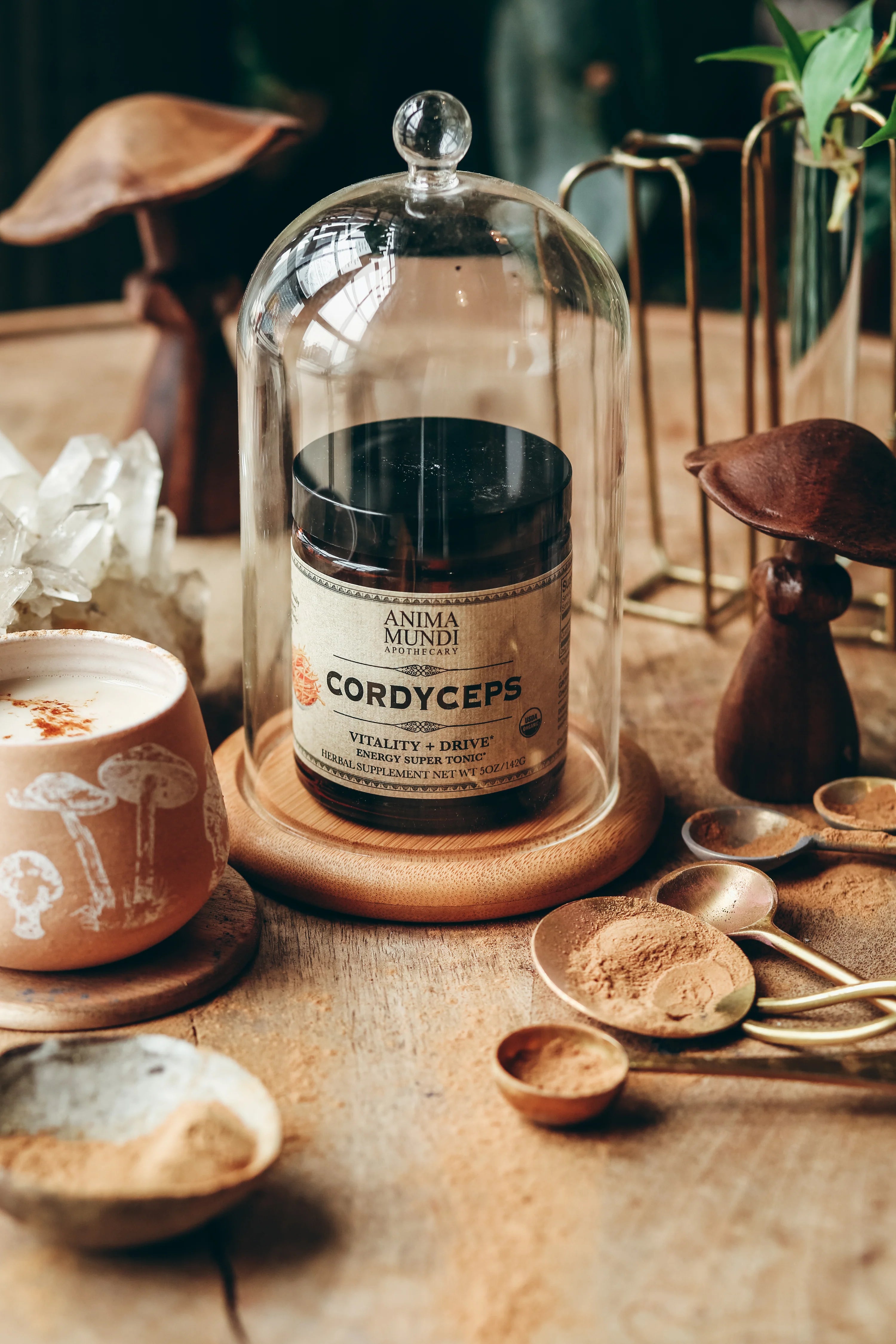CORDYCEPS Polvo | Súper tónico energético