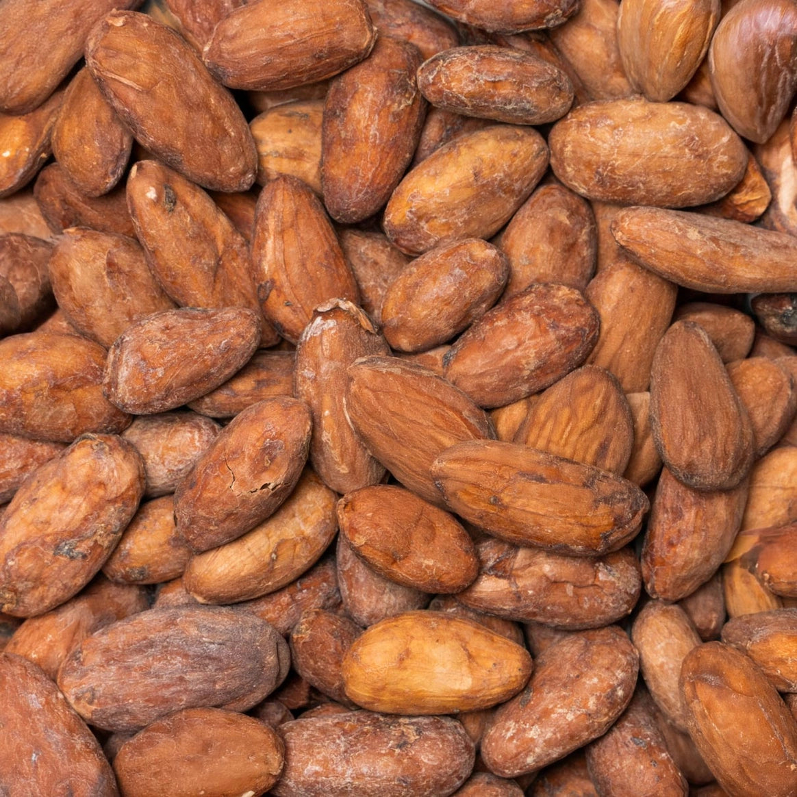 CACAO CEREMONIAL MEXICANO PICANTE Polvo | Con chiles y especias