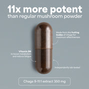 SOOO immune: extracto de Chaga 9-11:1