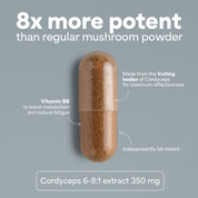 SOOO energetic: extracto de Cordyceps 6-8:1
