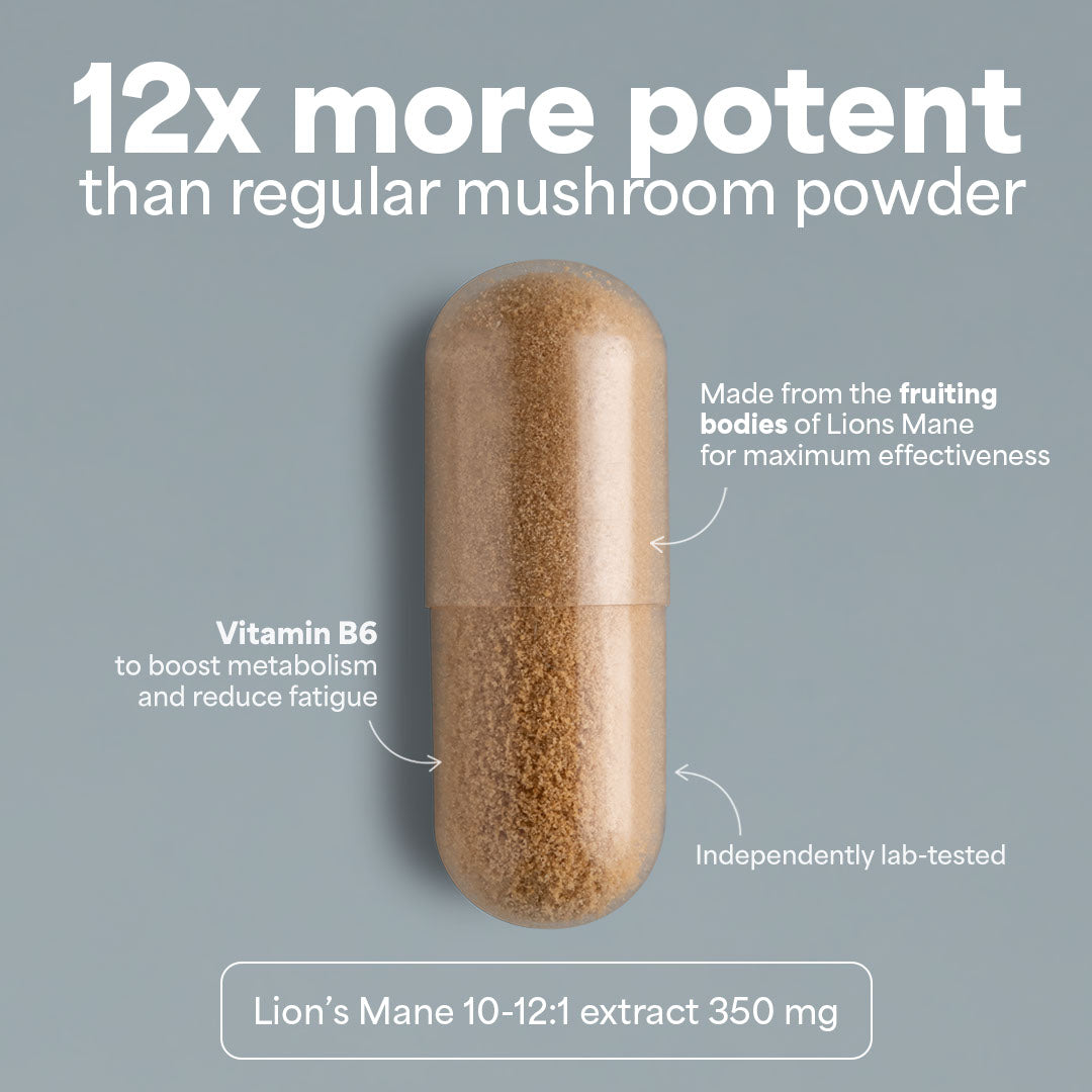 SOOO focused: extracto de Lion’s Mane 10-12:1