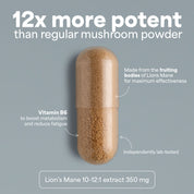 SOOO focused: extracto de Lion’s Mane 10-12:1