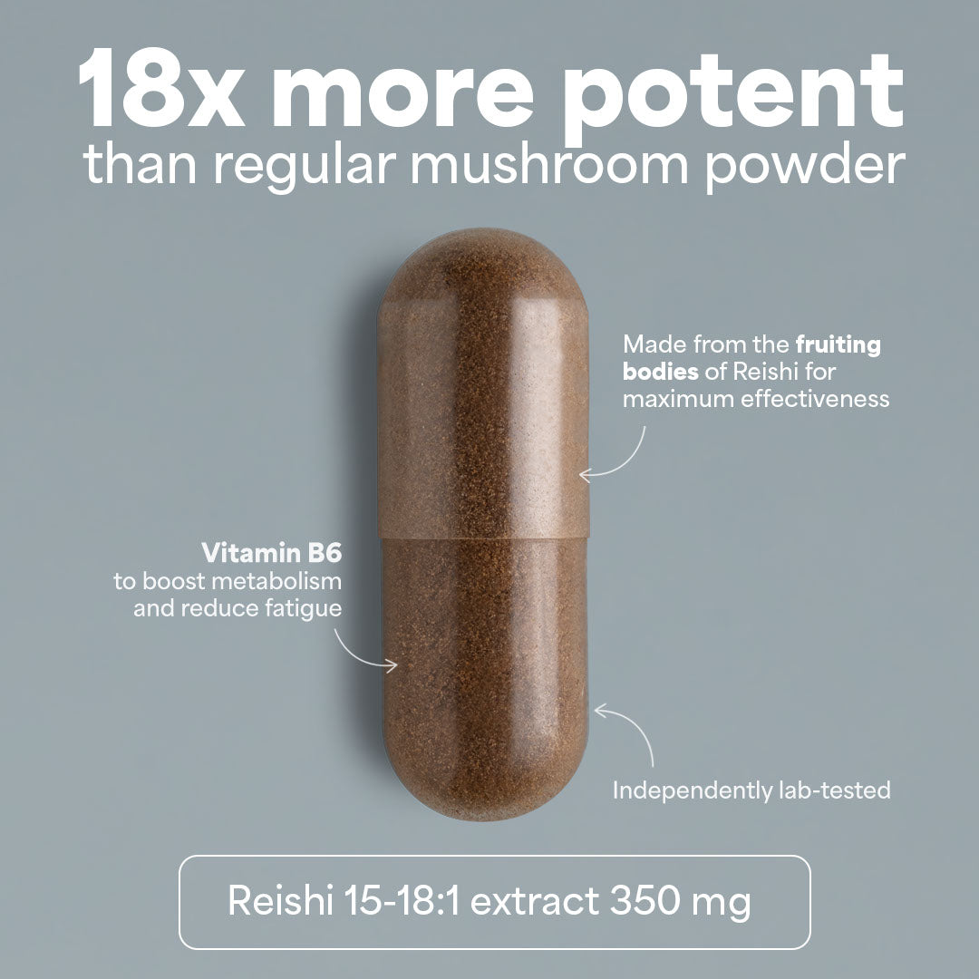 SOOO calm: extracto de Reishi extract 15-18:1