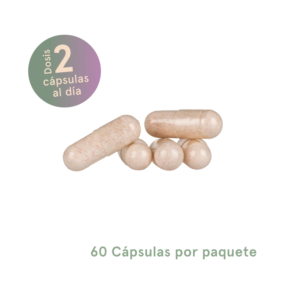 Digestive_b9e4efdd-58c3-4cee-8047-6afc27b322a2_png.webp
