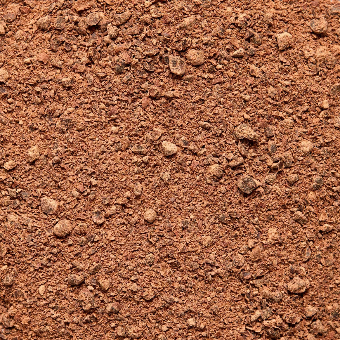 CACAO CEREMONIAL FOCUS Polvo | Con melena de león, cordyceps y especias