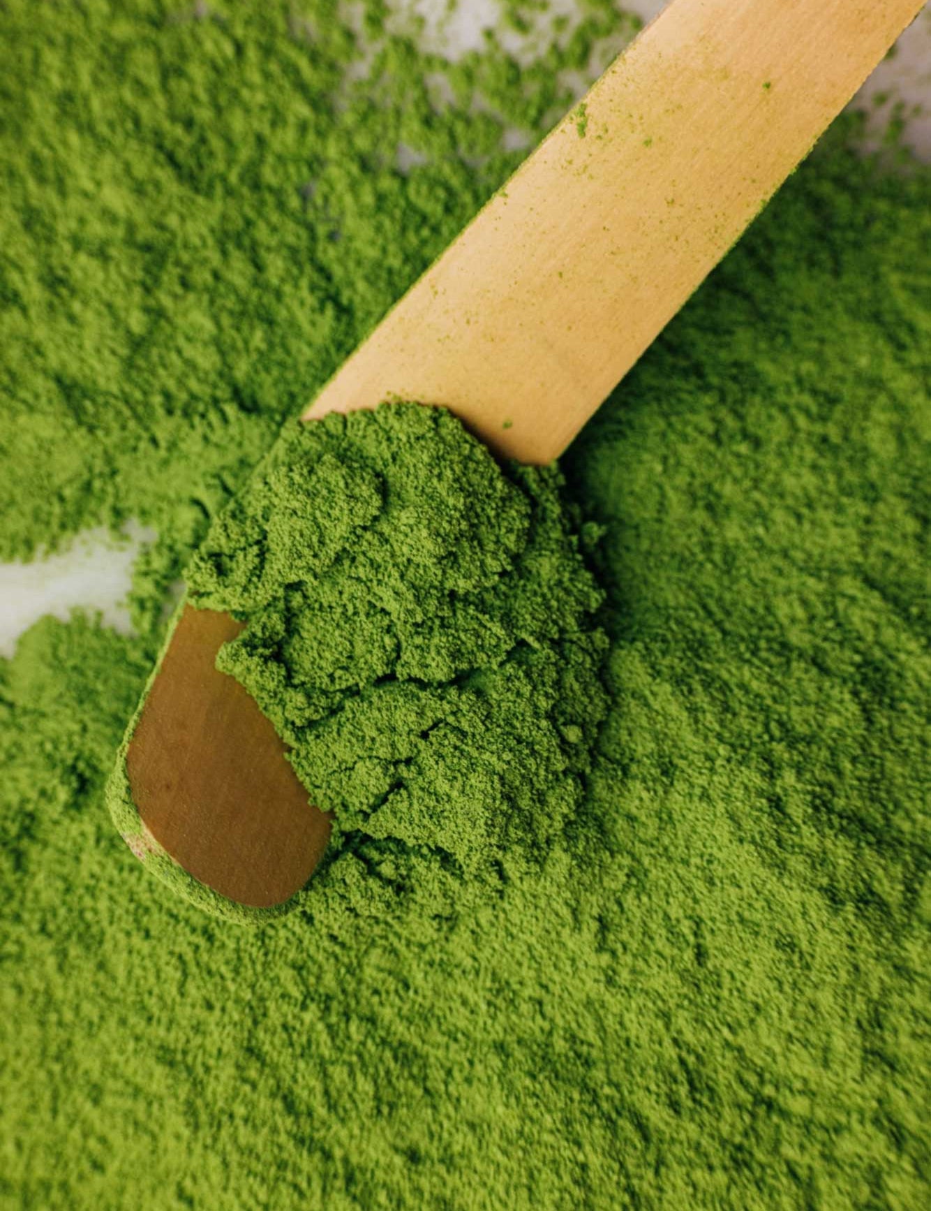 HB-matcha-traditional-01_jpg.jpg