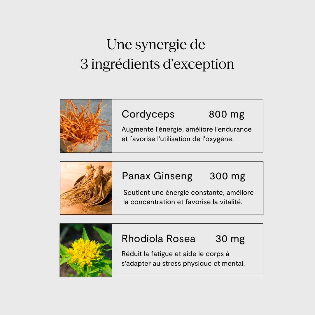 Power gominolas con Adaptógenos