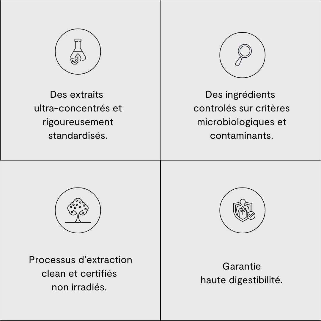 Focus gominolas con Adaptógenos