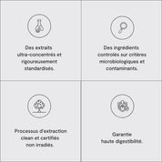 Focus gominolas con Adaptógenos