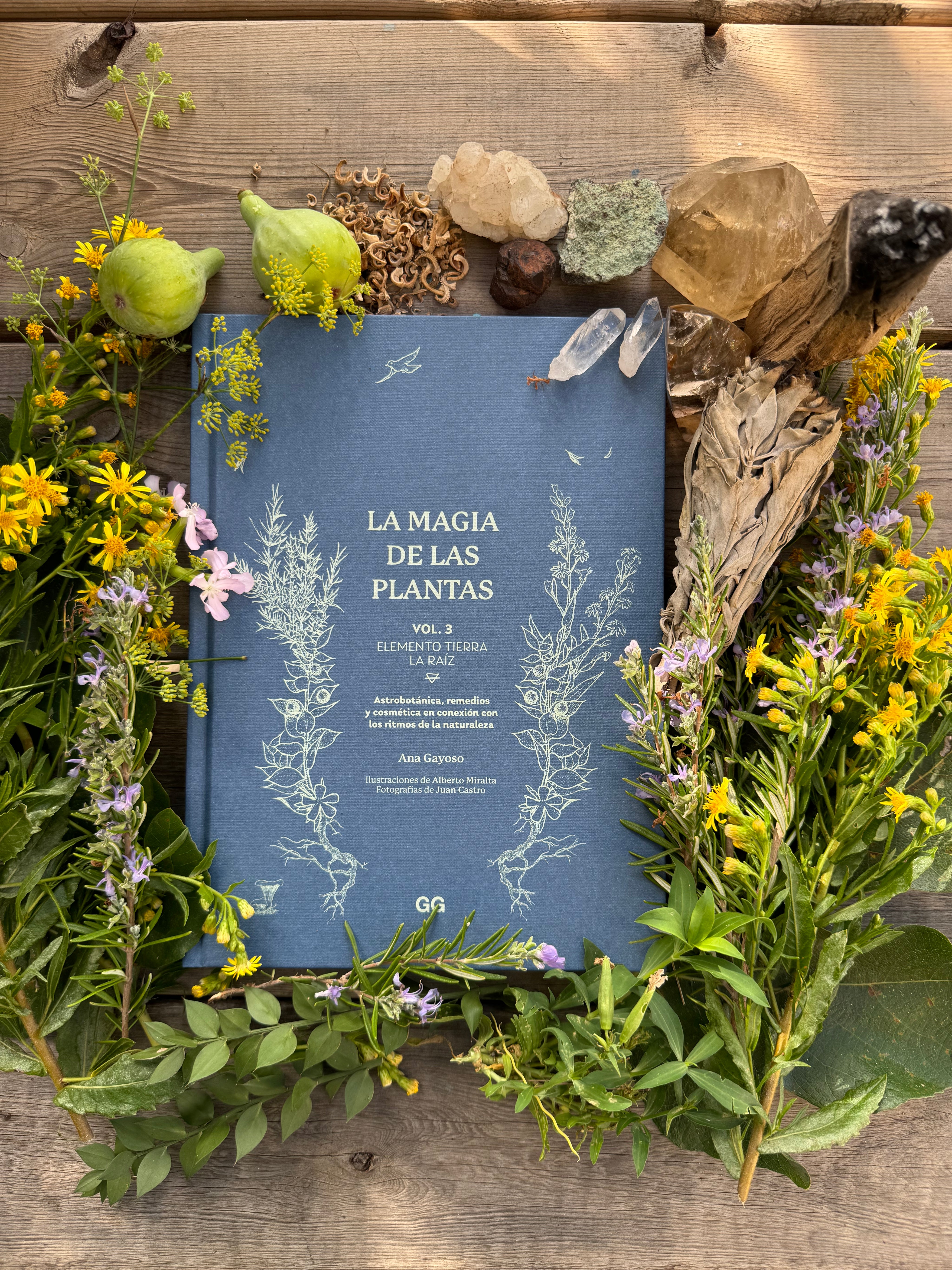 La Magia de las Plantas volumen III