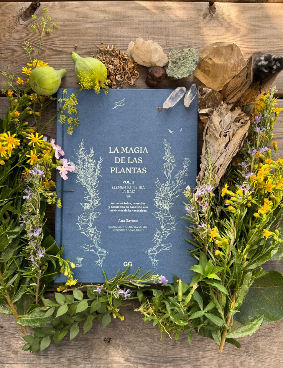 LAMAGIAIII3_775e213a-da46-47e1-8ae0-cb7cb5226cff.jpg