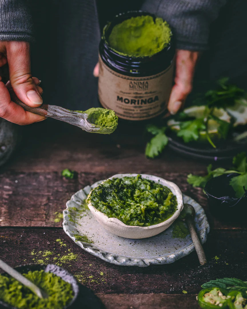 MORINGA Polvo | Súper-Tónico