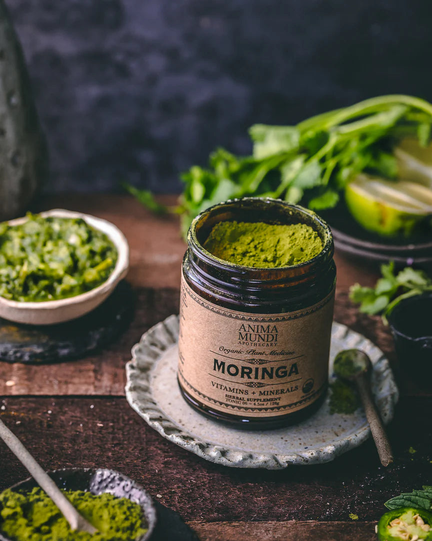 MORINGA Polvo | Súper-Tónico