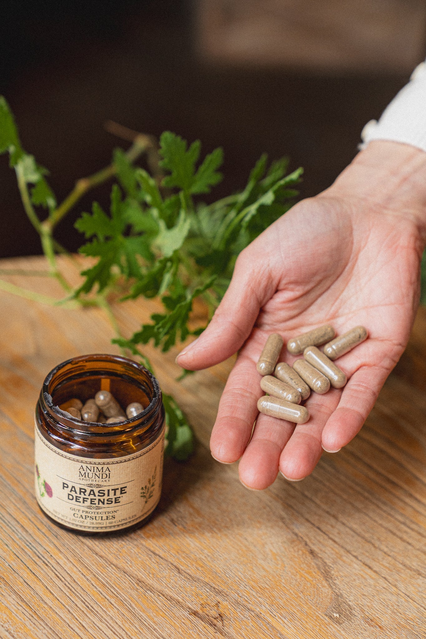 Cápsulas de Protección Antiparasitaria* | Protección Intestinal*