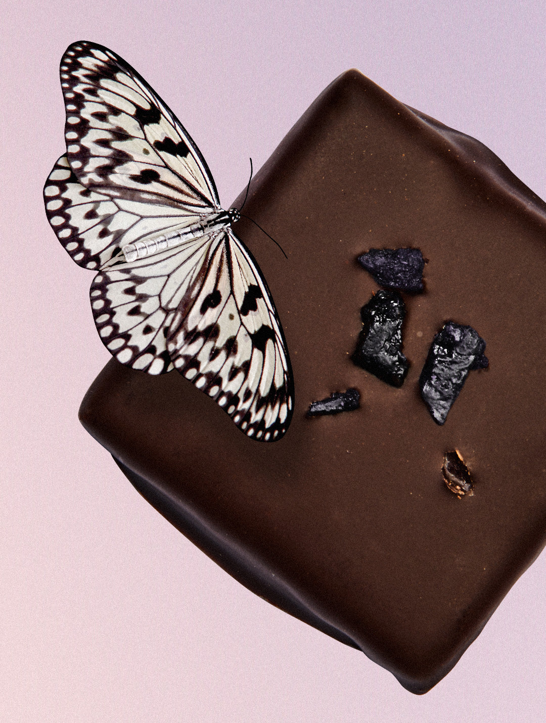 Snack de chocolate Chakra de arándanos silvestres y reishi