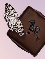 Snack de chocolate Chakra de arándanos silvestres y reishi