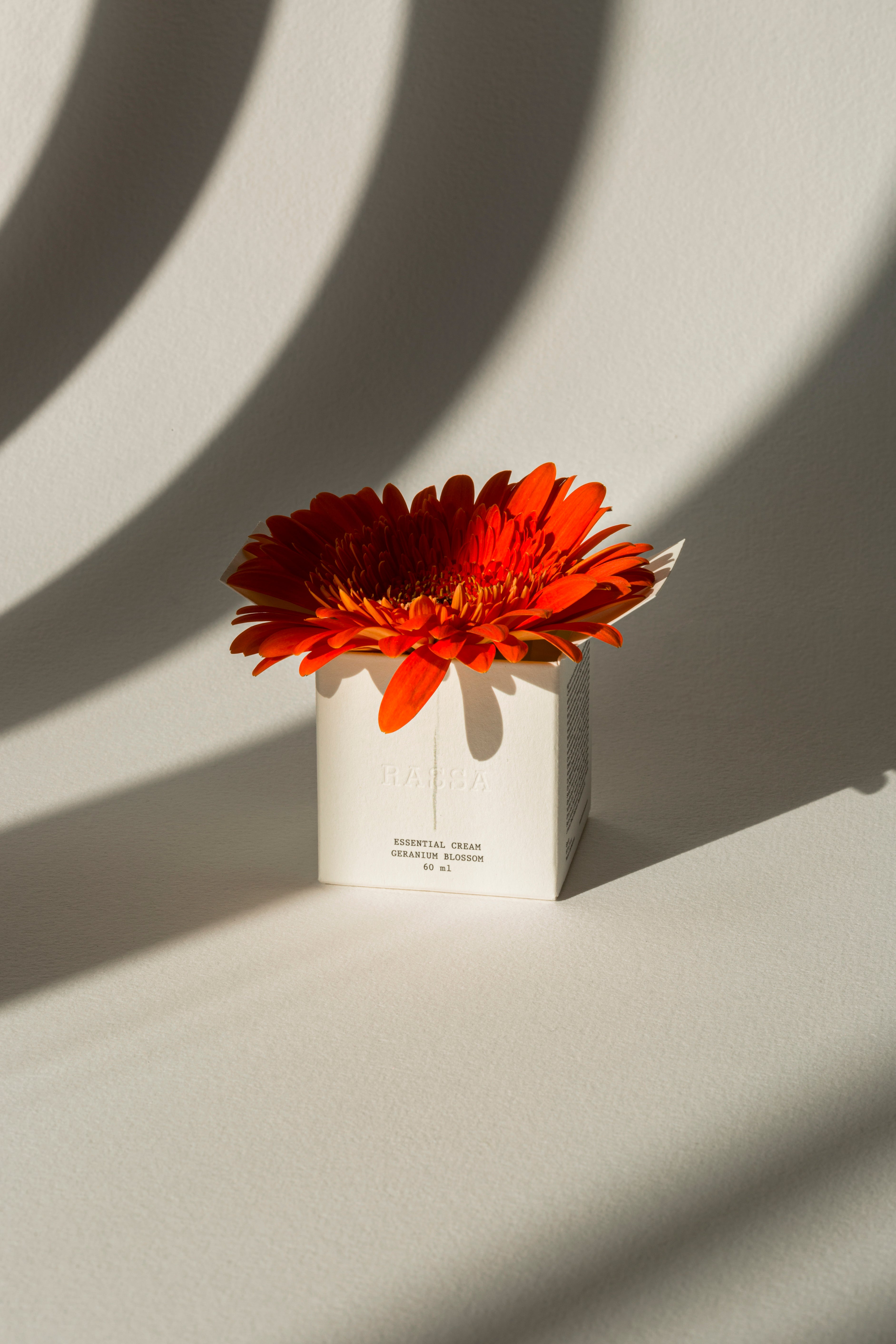 Essential Cream