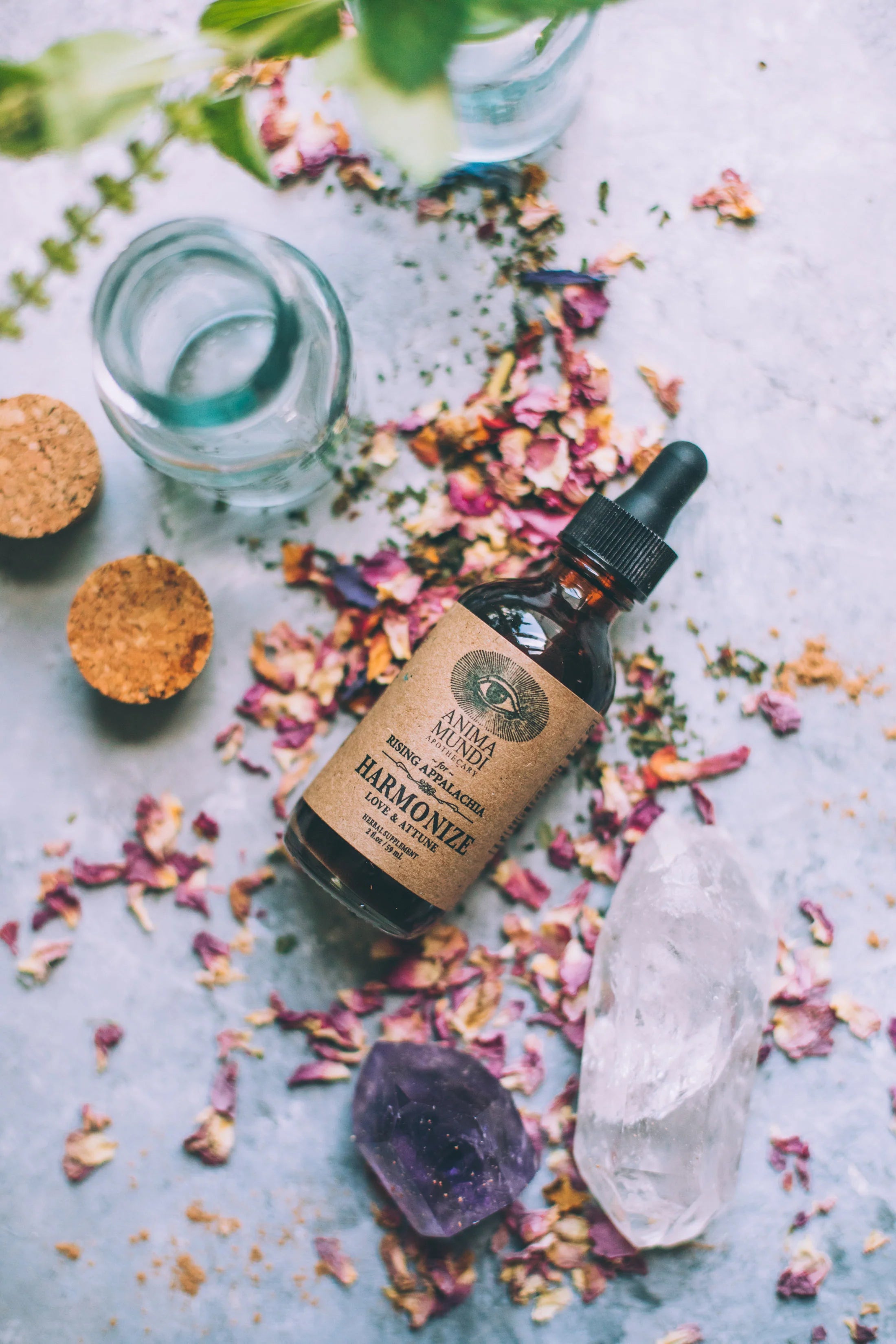 HARMONIZE Tónico | Rosa + Ashwagandha