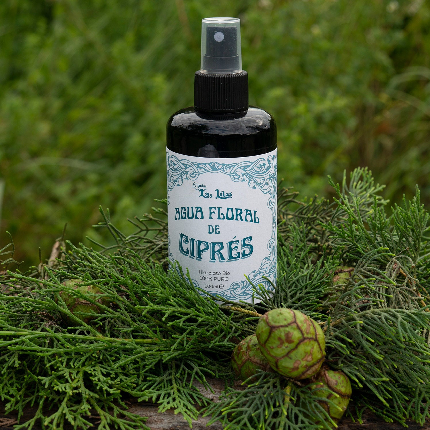 Agua floral o Hidrolato de Ciprés