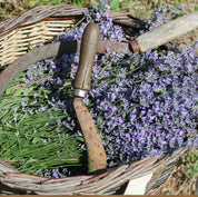 Agua floral o Hidrolato de Lavanda