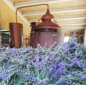 Agua floral o Hidrolato de Lavanda