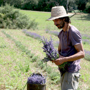 Agua floral o Hidrolato de Lavanda